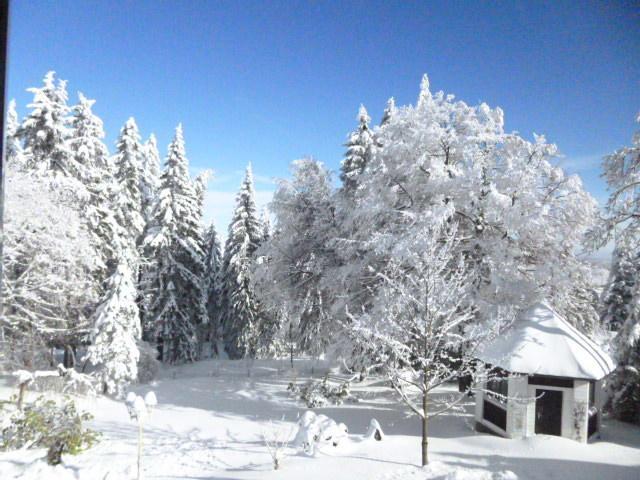 Pension Haus Am Waldesrand Oberhof  Eksteriør billede